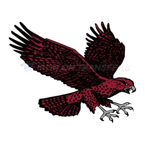 Maryland Eastern Shore Hawks Iron-on Stickers (Heat Transfers)NO.4986